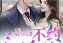 小说《多年后的重逢,不约,姐有男友》章节免费阅读-优文网