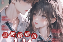 《快穿：总被撬墙角大师反攻略》小说免费阅读完整版-优文网