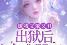 嫌我又笨又丑，出狱后全家哭死！完整版小说，嫌我又笨又丑，出狱后全家哭死！萧潇-优文网