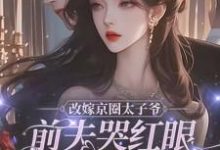 《改嫁京圈太子爷，前夫哭红眼求我别嫁》完整版小说免费阅读-优文网