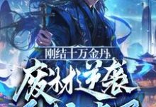 完结版《刚结十万金丹，废材逆袭系统来了》免费阅读-优文网