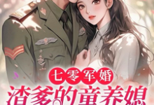 完结版《七零军婚，渣爹的童养媳一窝端》免费阅读-优文网