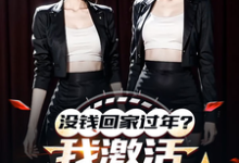 在线免费阅读没钱回家过年？我激活0元购系统完整小说-优文网