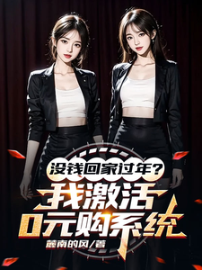 在线免费阅读没钱回家过年？我激活0元购系统完整小说