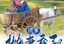 《渣爹抛妻弃子？我们吃肉你别馋》小说免费阅读完整版-优文网