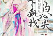 侯府弃妇竟是陛下疯找十年的心尖这本小说完结了吗？免费查看最新章节-优文网