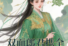 替嫁：双面郎君携全家套路我小说无弹窗阅读的网站推荐-优文网