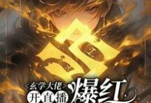 玄学大佬开直播，爆红阴阳两界小说，玄学大佬开直播，爆红阴阳两界在线阅读-优文网
