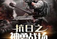 《抗日之神勇战场》小说免费阅读完整版-优文网