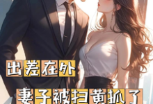 哪里能找到出差在外妻子被扫黄抓了小说的最新更新和免费章节？-优文网