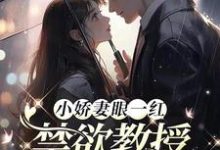 求小娇妻眼一红，禁欲教授揽腰哄小说的全文免费阅读链接-优文网
