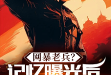 网暴老兵？记忆曝光后全网泪崩！这本小说在哪里可以看？哪里有免费试读章节？-优文网