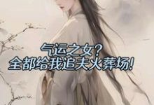 气运之女？全都给我追夫火葬场！陆辰，气运之女？全都给我追夫火葬场！小说免费阅读-优文网