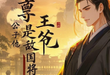 已完结小说《启禀王爷，公子他是敌国将军》章节免费阅读-优文网