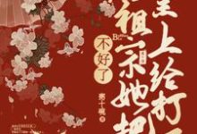 《不好了，老祖宗她把皇上打了》小说大结局免费试读 慕青沅小说-优文网