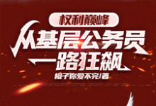 权力巅峰：从基层公务员一路狂飙章节免费在线阅读，季卫东钟灵儿完结版-优文网