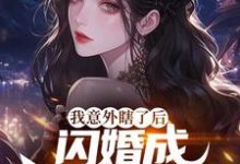 我意外瞎了后，闪婚成前女友姑父免费阅读，我意外瞎了后，闪婚成前女友姑父章节在线阅读-优文网