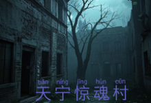 《天宁村惊魂》冰浩小说免费阅读完整版-优文网
