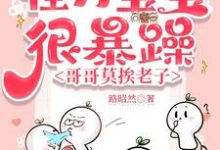 《怪力宝宝很暴躁，哥哥莫挨老子》小说章节列表免费试读，洛言柒七七小说在线阅读-优文网