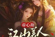 帝心劫：江山美人两不负霁无霞南宫婉清在线章节免费阅读-优文网