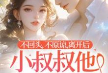 哪里能找到不回头，不原谅，离开后小叔叔他后悔了小说的最新更新和免费章节？-优文网