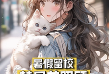 苏然夏沫小说免费阅读完整版-优文网