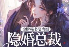 姜以初小说金牌秘书要离婚，隐婚总裁全球示爱！章节免费阅读-优文网