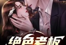 在线免费阅读绝色老板娘的愿望完整小说-优文网