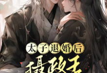 完整版小说《太子退婚后，摄政王他坐不住了》免费阅读-优文网