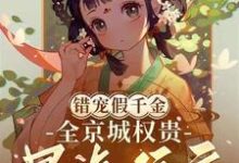 沈轻漾楚珩完整版小说免费阅读-优文网