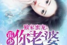《独家蜜宠：霍少，你老婆被拐了》小说大结局免费试读 宁芊芊霍庭森小说-优文网