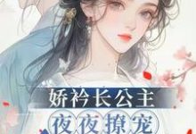 娇矜长公主夜夜撩宠冷心暗卫完整版小说免费阅读，娇矜长公主夜夜撩宠冷心暗卫小说-优文网