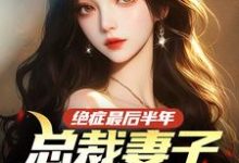 绝症最后半年，总裁妻子悔红了眼完整版小说，绝症最后半年，总裁妻子悔红了眼江亦盛月殊-优文网