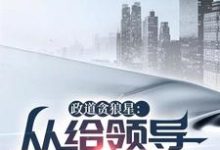 政道贪狼星：从给领导平反开始小说完结版章节免费阅读-优文网