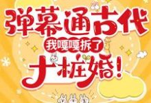 弹幕通古代，我嘎嘎拆了十桩婚！小说无弹窗阅读的网站推荐-优文网
