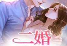 《二婚玫瑰》小说大结局免费试读 赵廷川林淼月小说-优文网