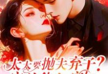 太太要抛夫弃子？宋总他急疯了许觅小说在线章节免费阅读-优文网