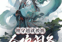刚穿越就被掳，合欢词条什么鬼？林烨小说在线章节免费阅读-优文网