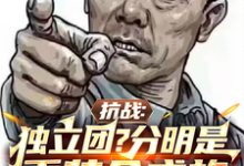 李成虎李云龙小说《抗战：独立团？分明是重装合成旅》完整版免费阅读-优文网