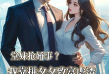 小说《堂妹抢婚事？我靠拼夕夕致富虐渣》完整版章节免费阅读-优文网