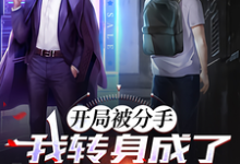 寻找能够免费阅读开局被分手，我转身成为万亿富豪小说的平台-优文网