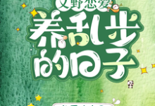 江户川乱步小说在线章节免费阅读（【文野恋爱】养乱步的日子无弹窗无删减）-优文网