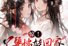 哪里能找到惊！丫鬟揣娃回家，走出康庄大道小说的最新更新和免费章节？-优文网