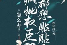顾轻舟宋夔小说怎么办？疯批权臣每天都想贴贴我章节免费阅读-优文网