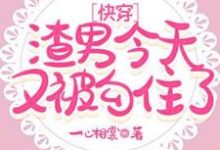 快穿：渣男今天又被勾住了小说有没有完结版在线？-优文网