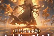 开局没落帝族，但我能回到过去陆羽小说免费阅读-优文网