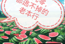 哪里能找到回到九零，都逃不掉的老本行小说的最新更新和免费章节？-优文网
