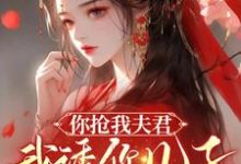 你抢我夫君，我诱你儿子，不能亏小说全文哪里可以免费看？-优文网