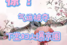 已完结小说《惊！气运被夺，下堂妇火爆京圈》最新章节-优文网