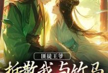 免费在线阅读匪徒王爷拆散我与竹马，逼我嫁他！小说的正规网站有哪些？-优文网